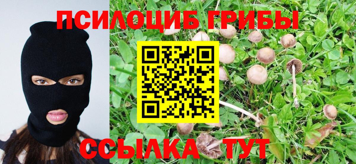 Псилоцибиновые грибы Magic Shrooms Ставрополь