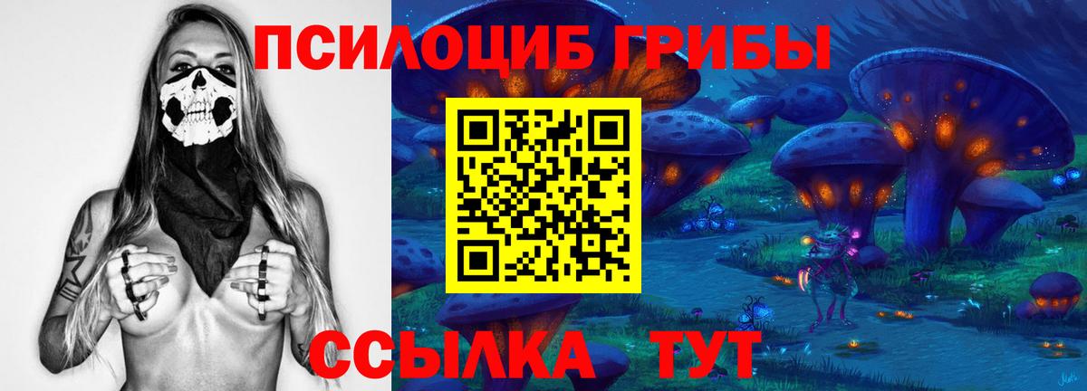 Псилоцибиновые грибы ЛСД  Вход с VPN  Ставрополь  Псилоцибиновые грибы Cubensis 